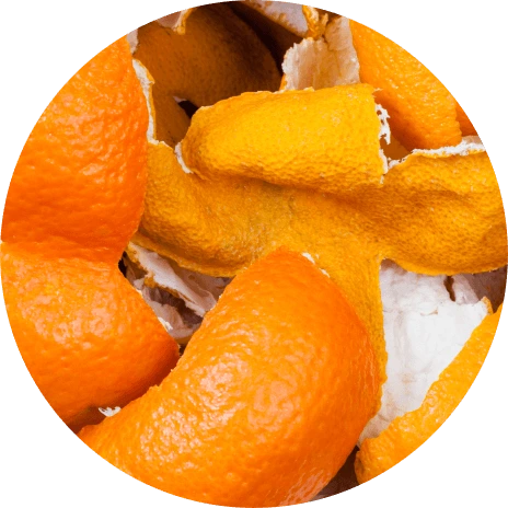 100% Biodegradable polymer created out of fruit peels